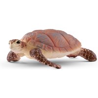 Günstig Echte Karettschildkröte - Neu in unserem Onlineshop kaufen im Preisvergleich