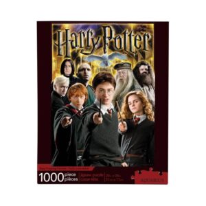 Harry Potter Puzzle Collage (1000 Teile) günstig kaufen für Kinder